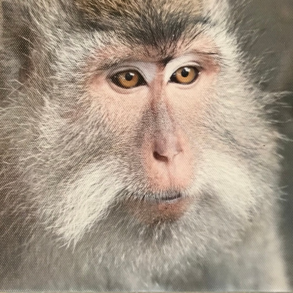 Photos from travels around the world!